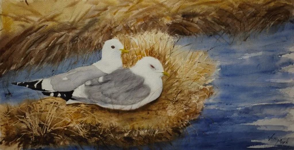Nesting Mews