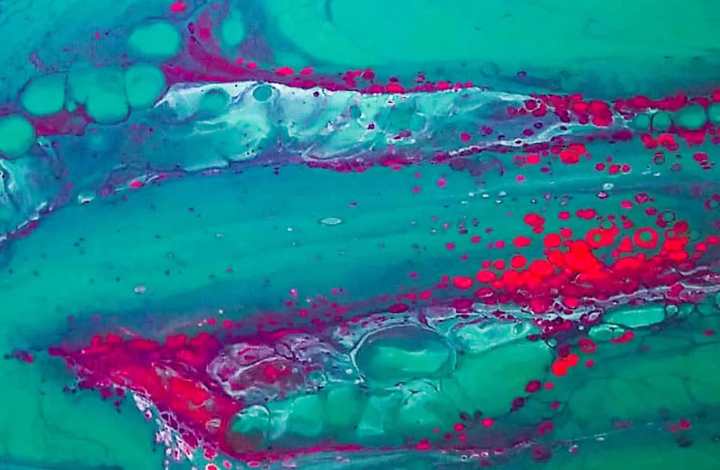 Crimson Currents