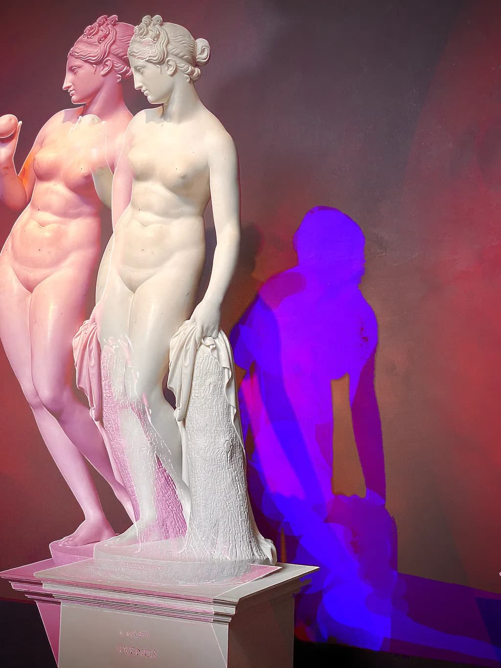 Venus Duality