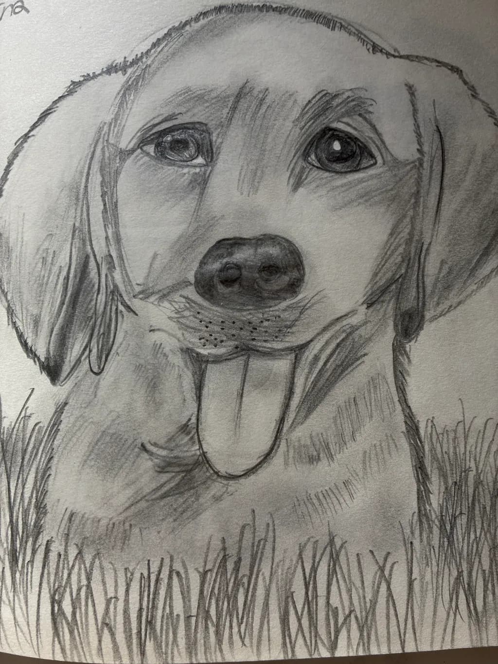 Playful Pup