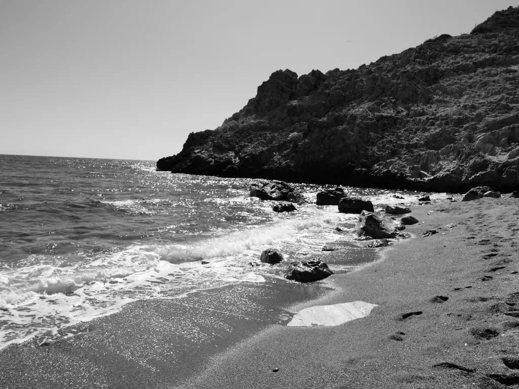 Waves and Shore
