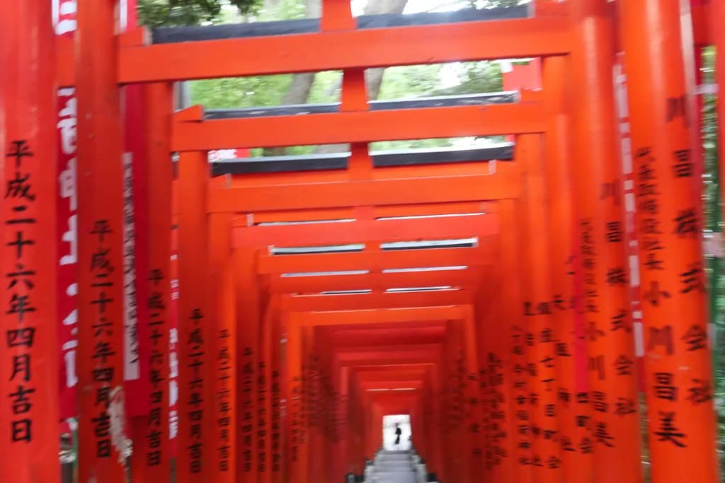 Endless Torii Path