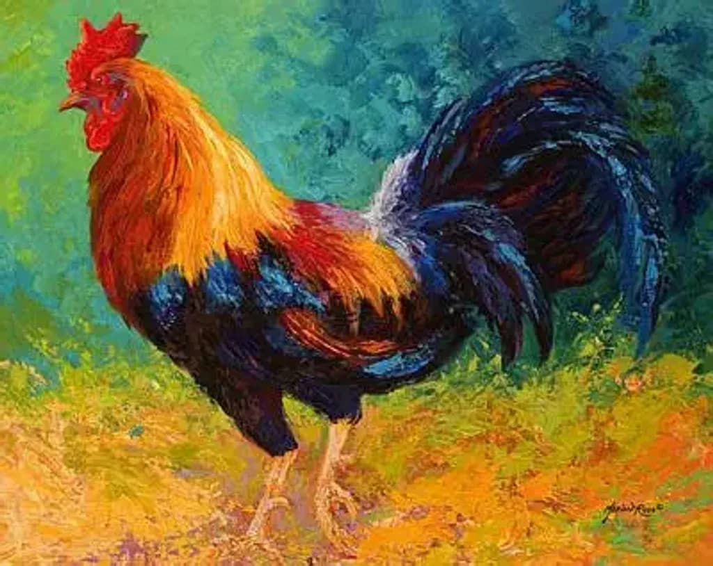 Rooster Radiance