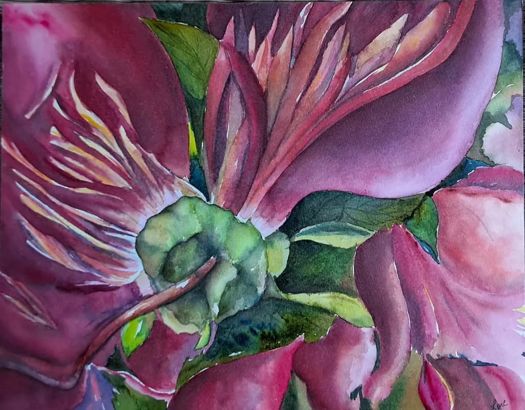 Crimson Bloom