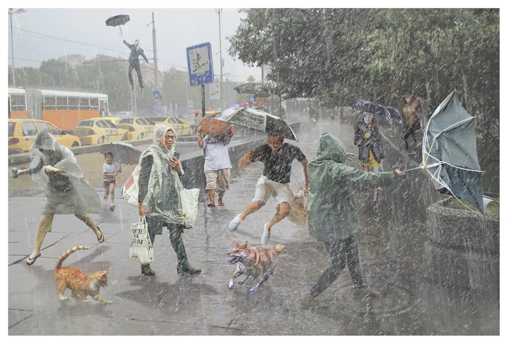 Rain Chaos