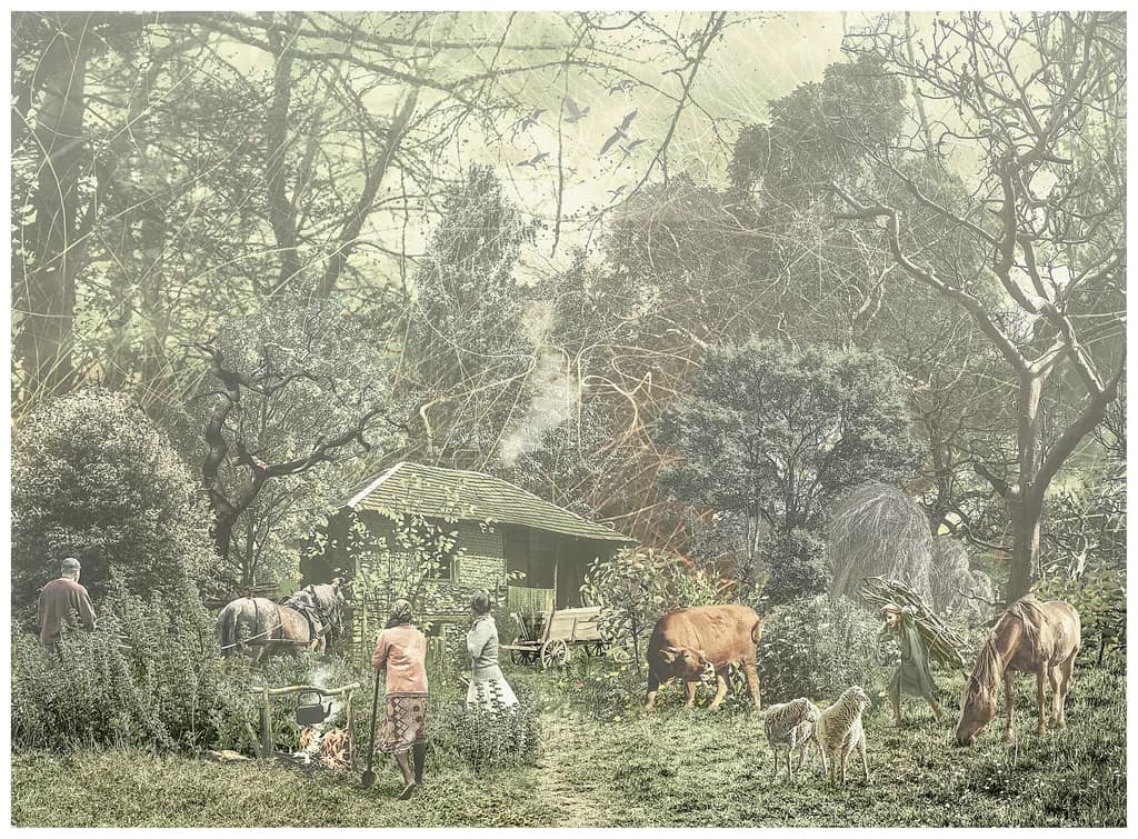 Pastoral Forest