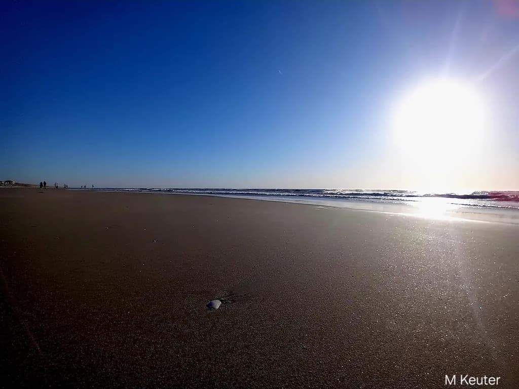 Sunlit Shoreline
