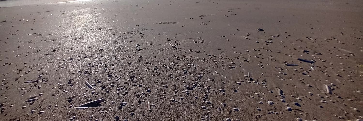 Banner del perfil