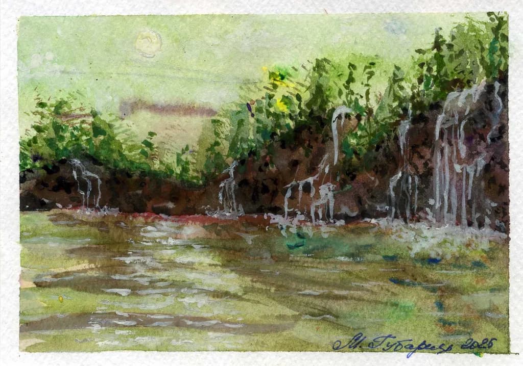 Riverbank Herons