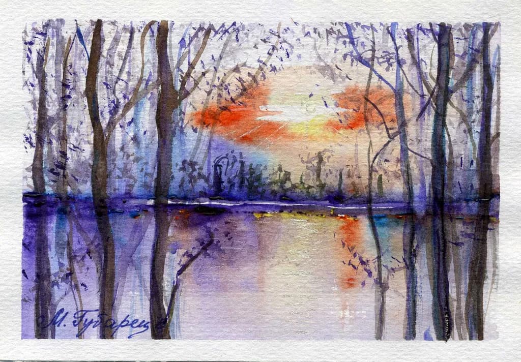 Sunset Through Trees