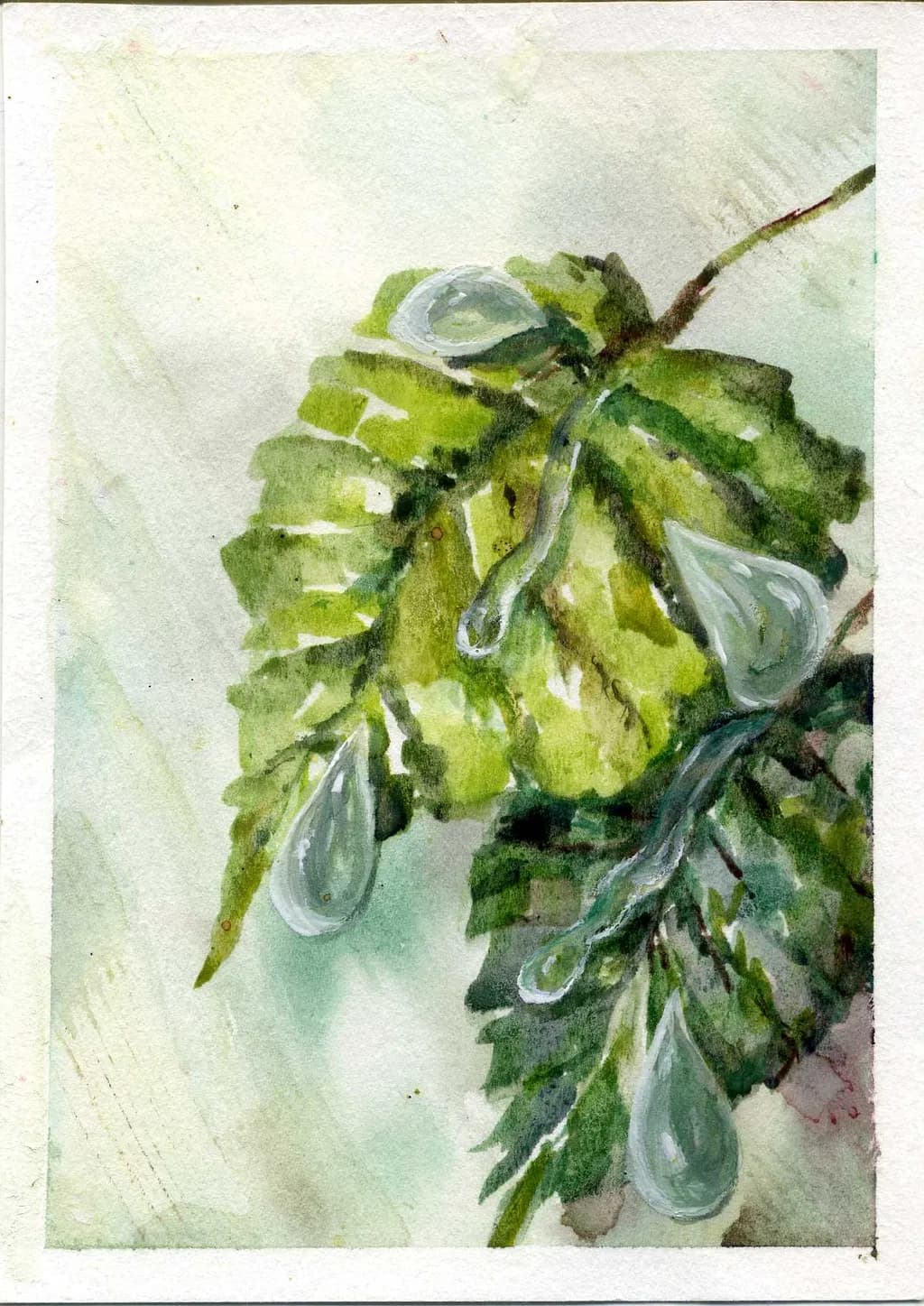 Leaf with Droplets