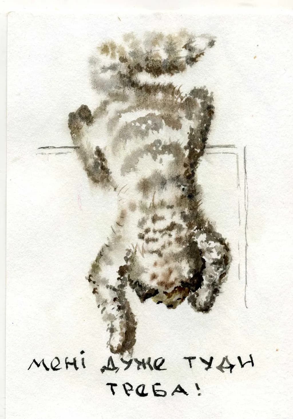 Climbing Cat