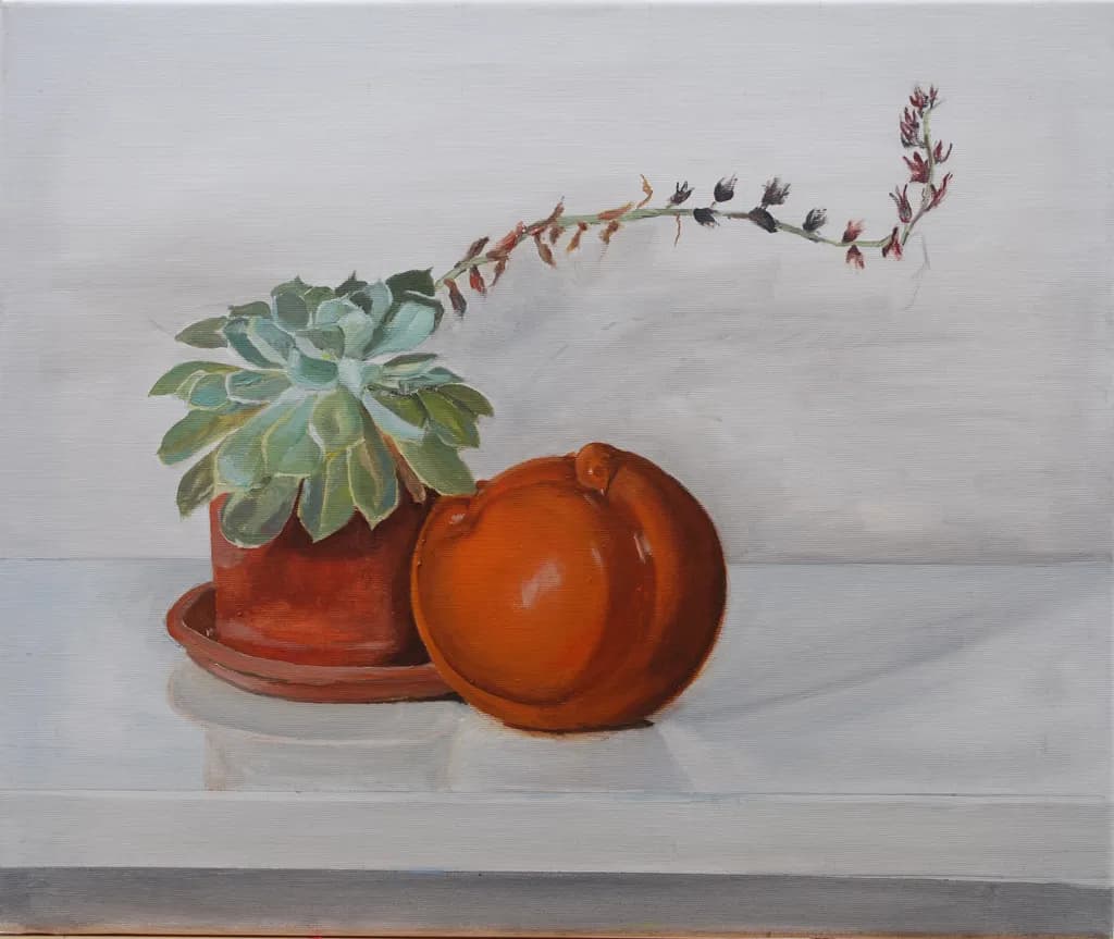 Succulent still life