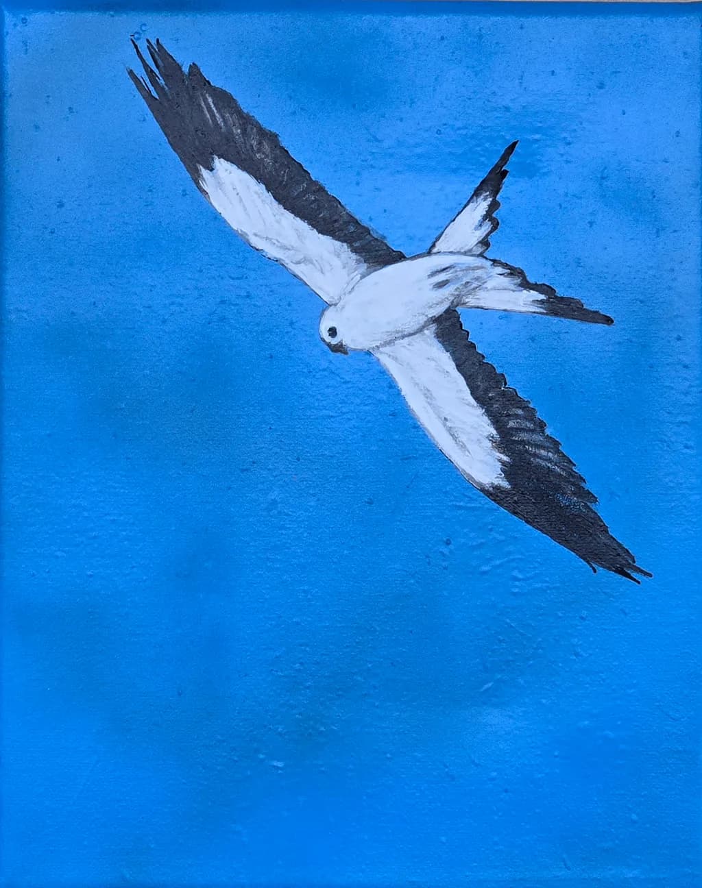 Soaring Contrast