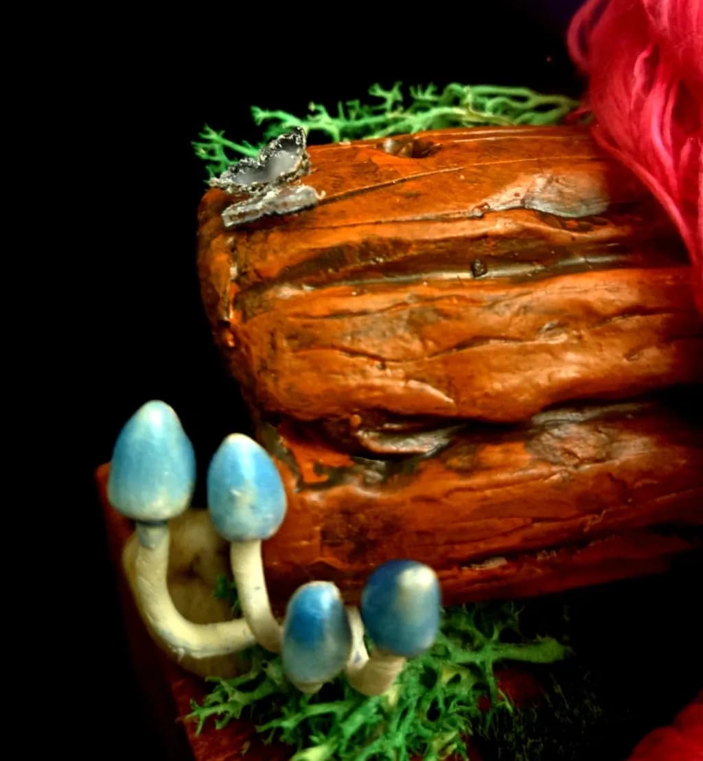 Blue Cap Fungi