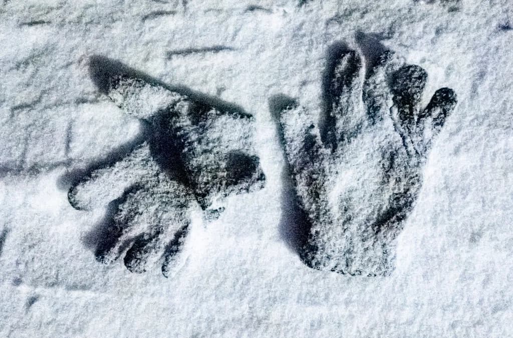 Lost Gloves in Snow