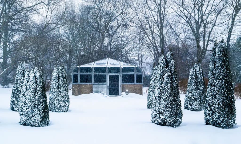 Greenhouse in Winter