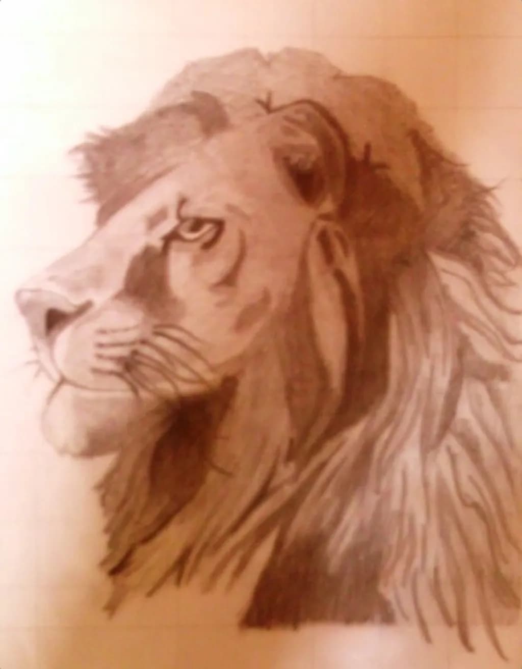 Lions Head