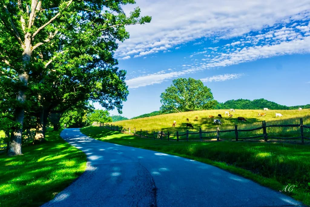 Take Me Home Country Road