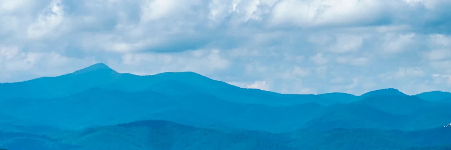 Profilbanner