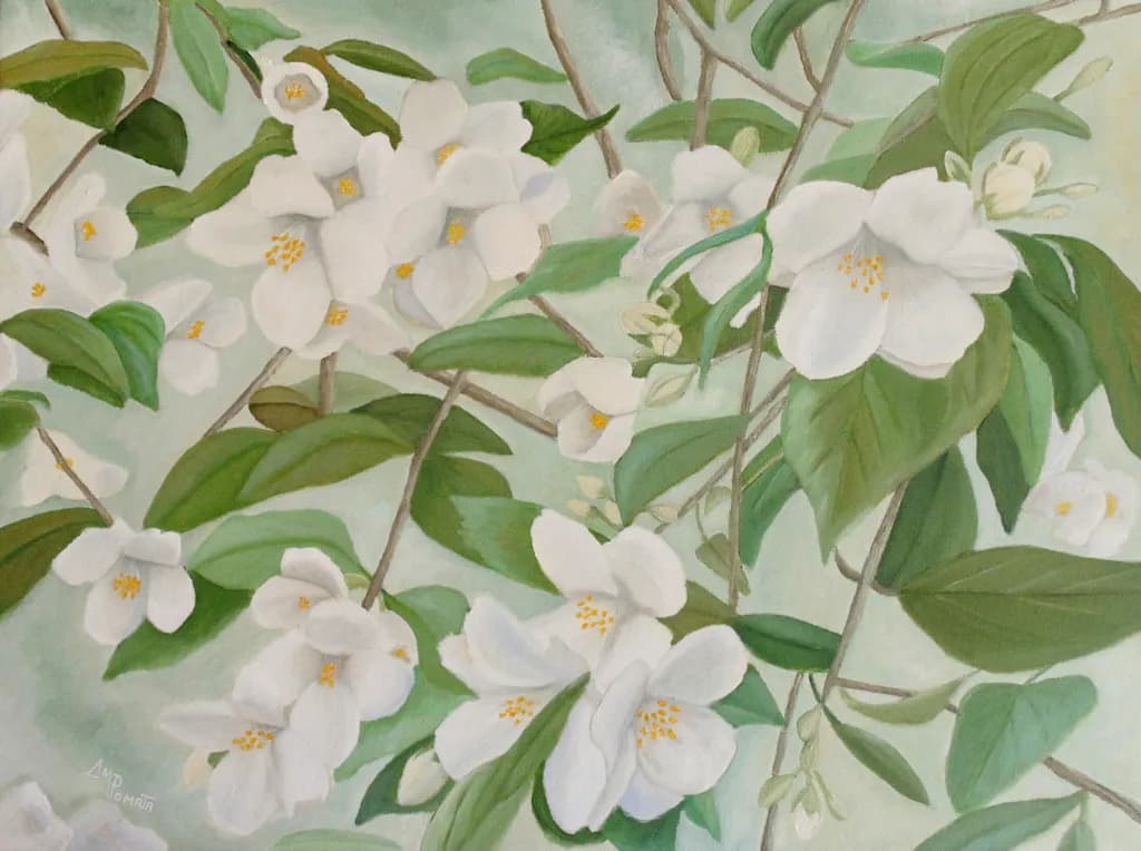 Orange Blossoms
