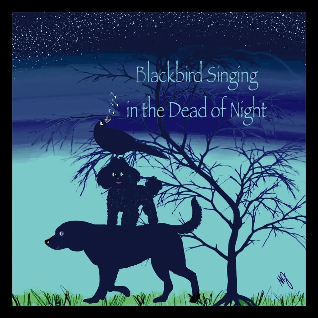 Blackbird Nightsong