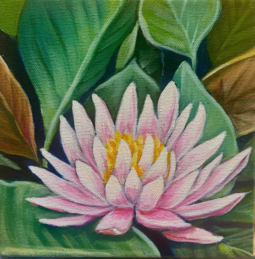 Pink Lotus