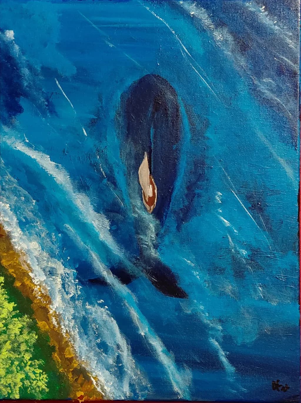 Orca Glide