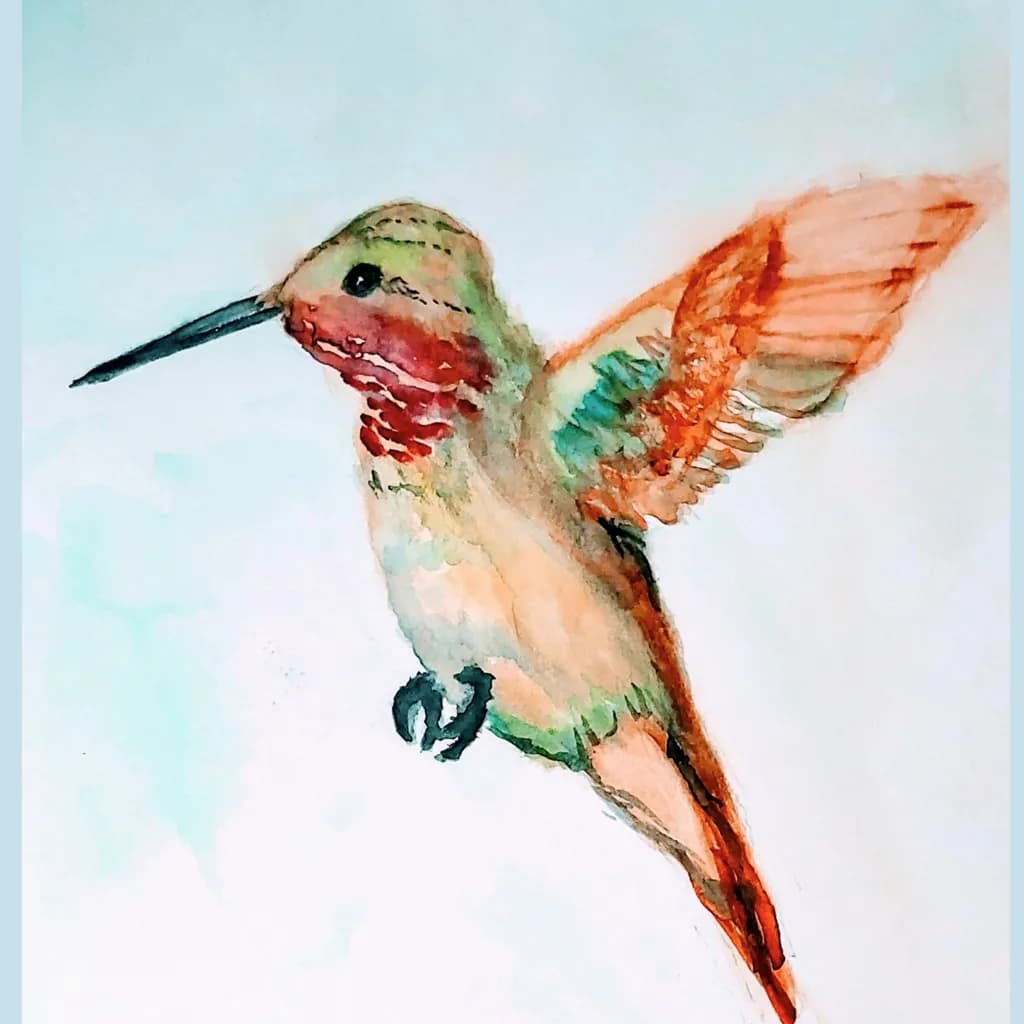 Hummingbird Watercolor