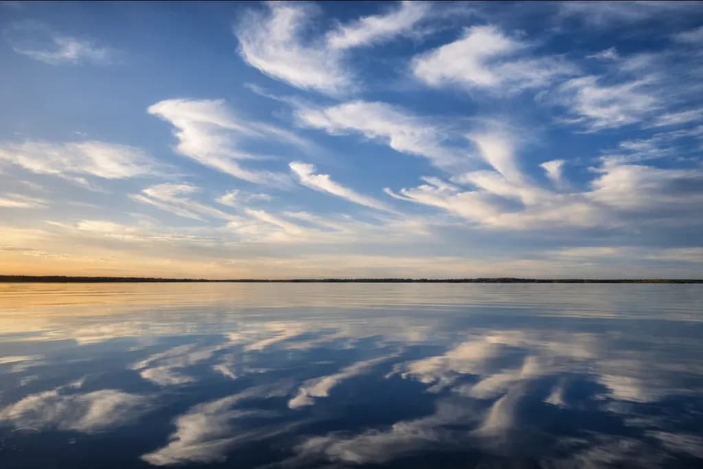Mirrored Horizon