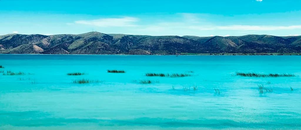 Turquoise Horizon