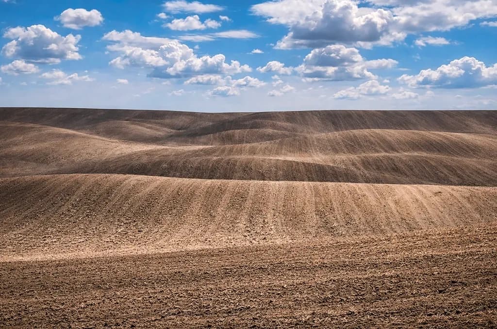 Earth Rhythms