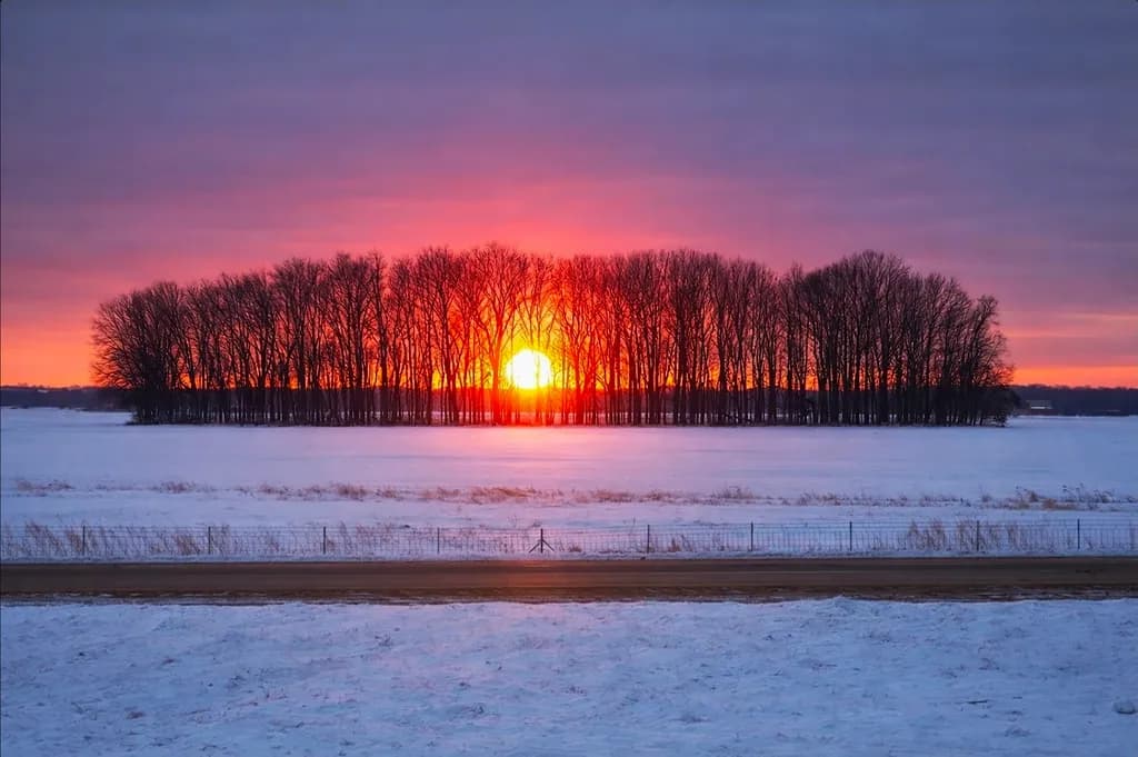 Winter Sunset Silhouette