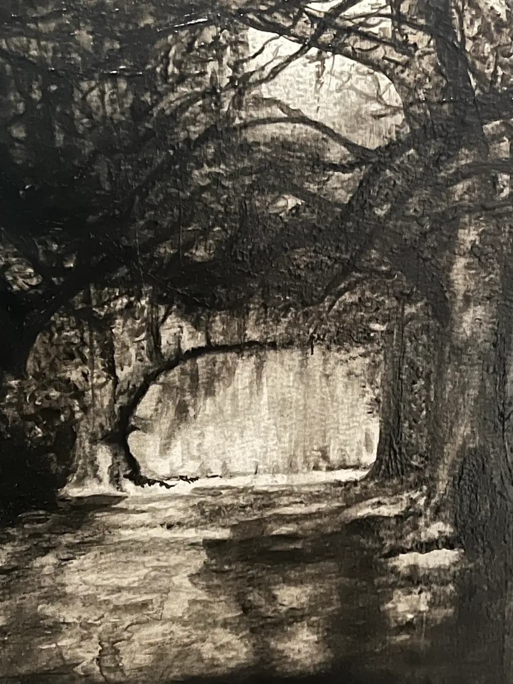 Shadowed Pathway