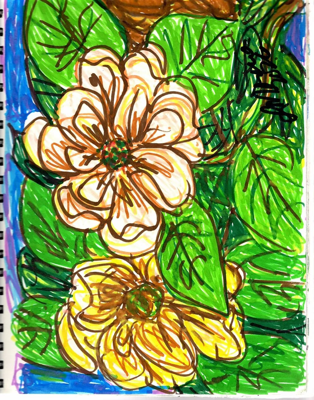 Bold Blossoms
