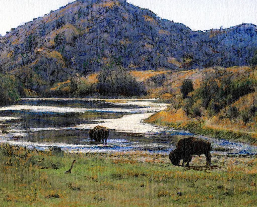 Catalina Buffalo