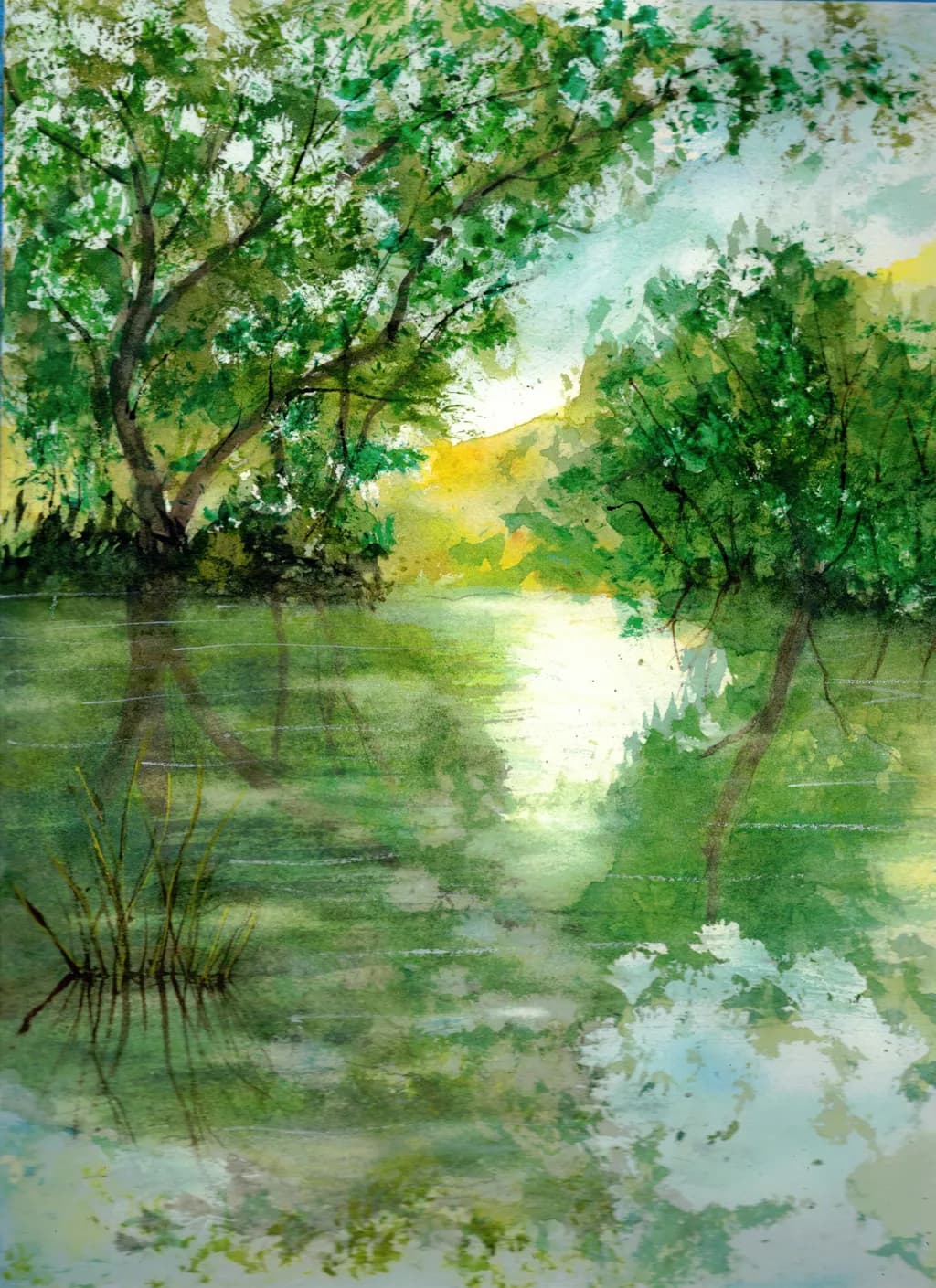 5 Island Lake