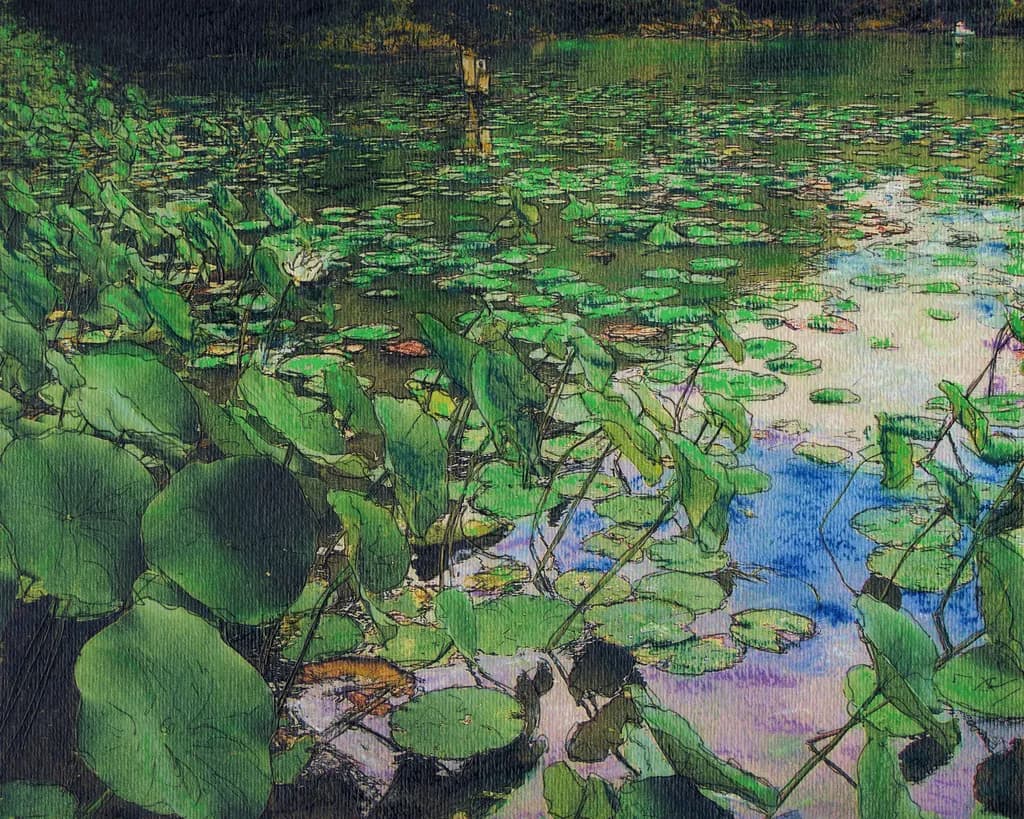Eric in the Water Lillies