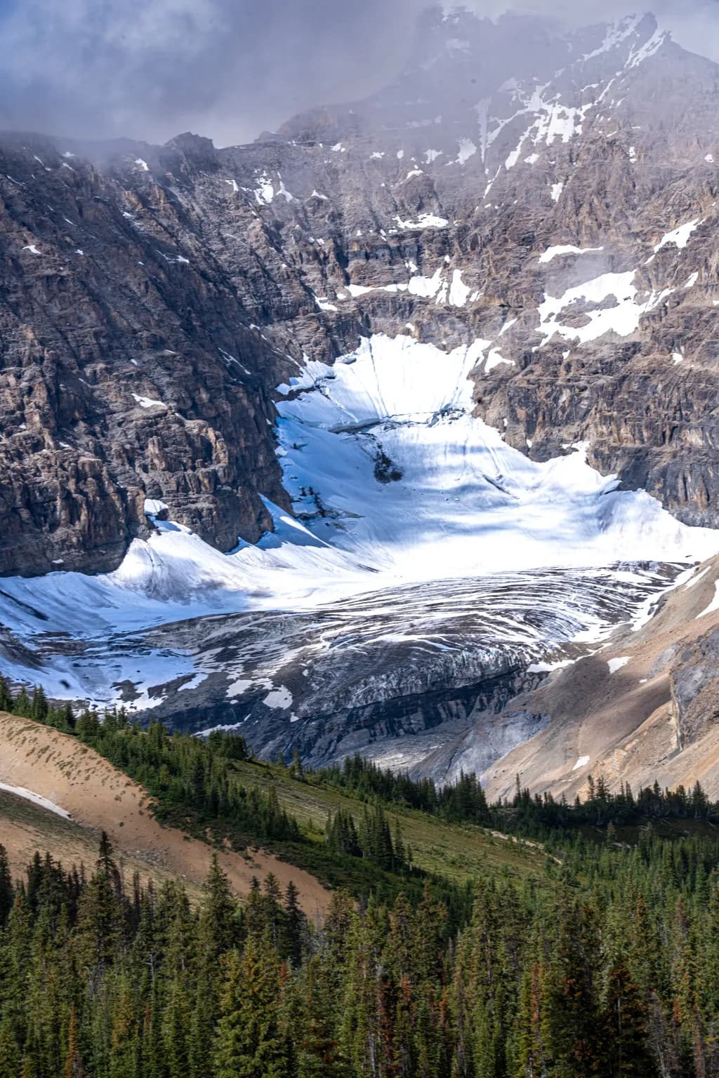 Glacial Mountain Forest