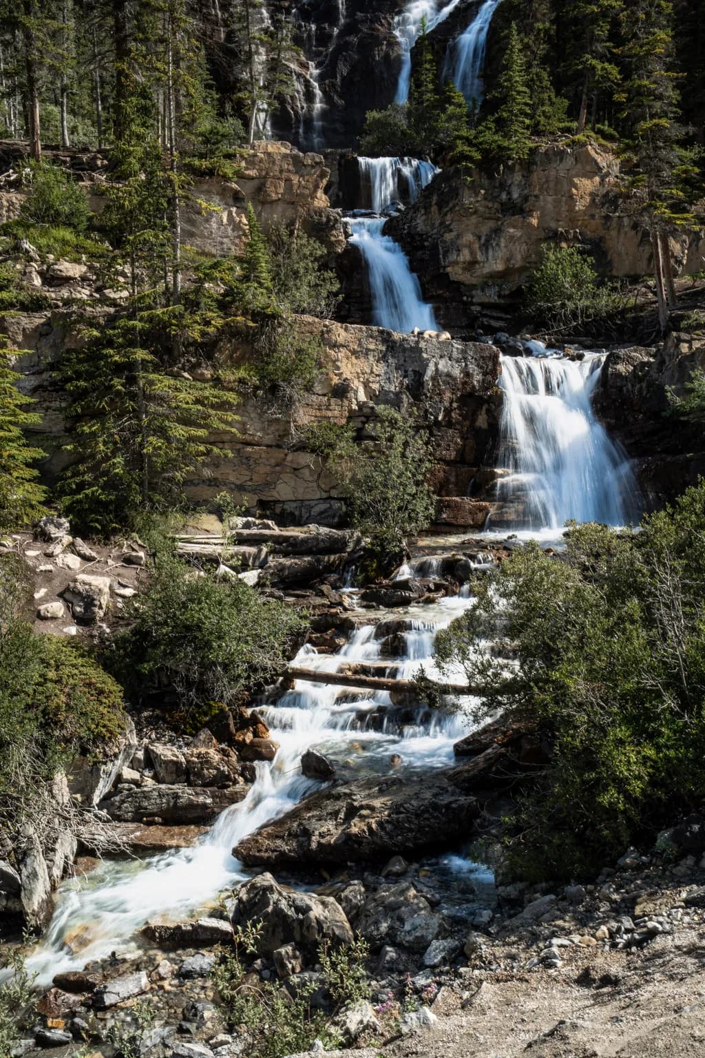 Mountain Forest Waterfall