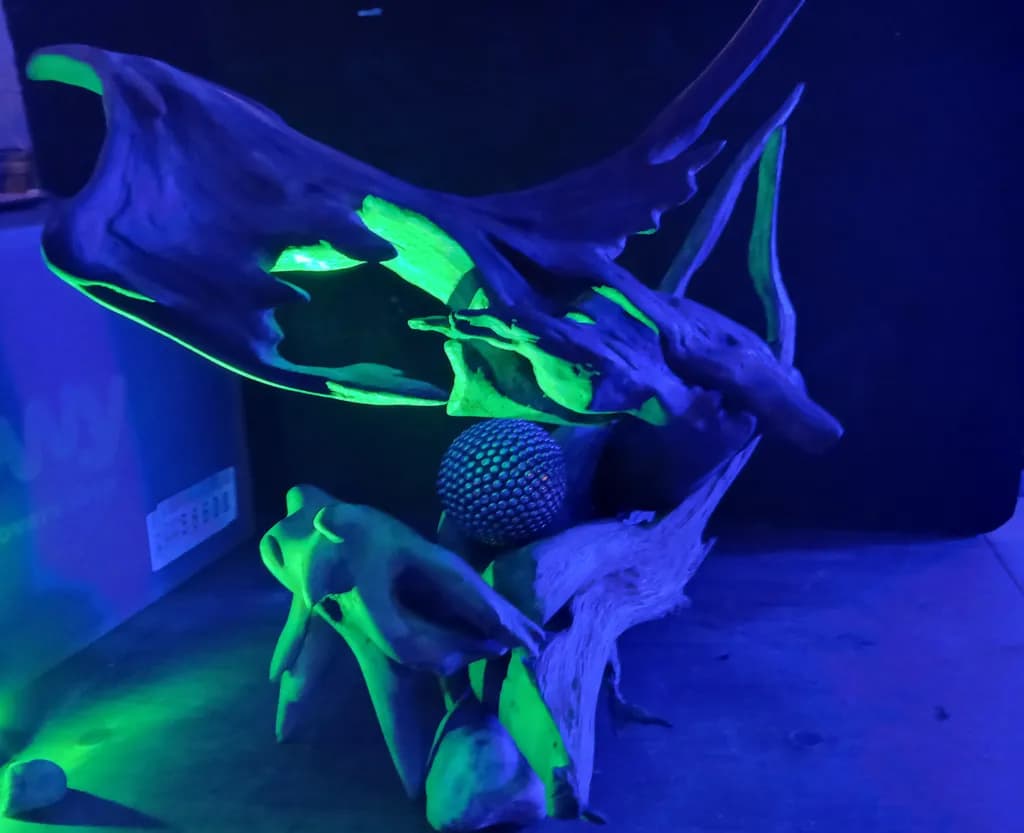 Neon Driftwood Sculpture