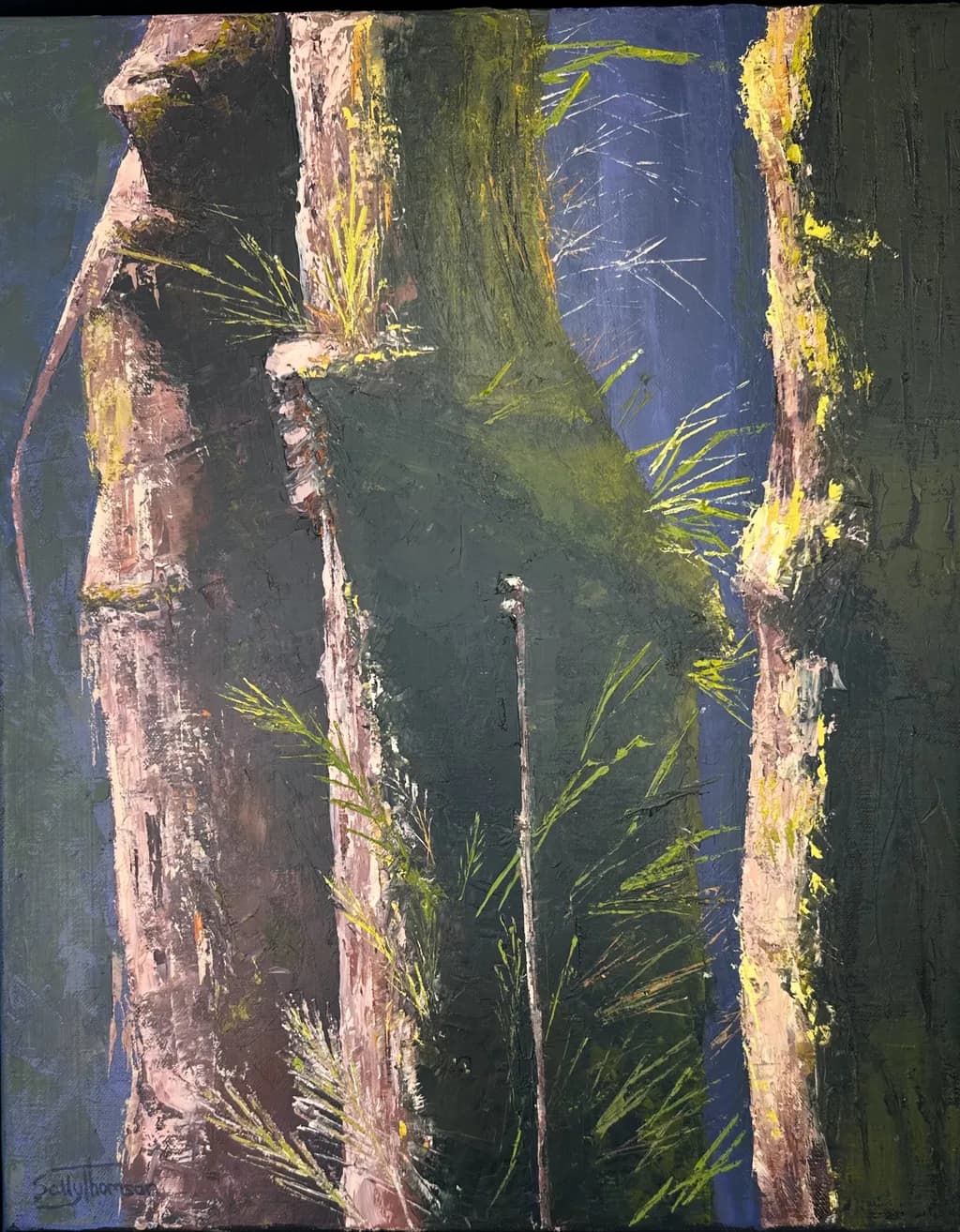 Mystery of Moss