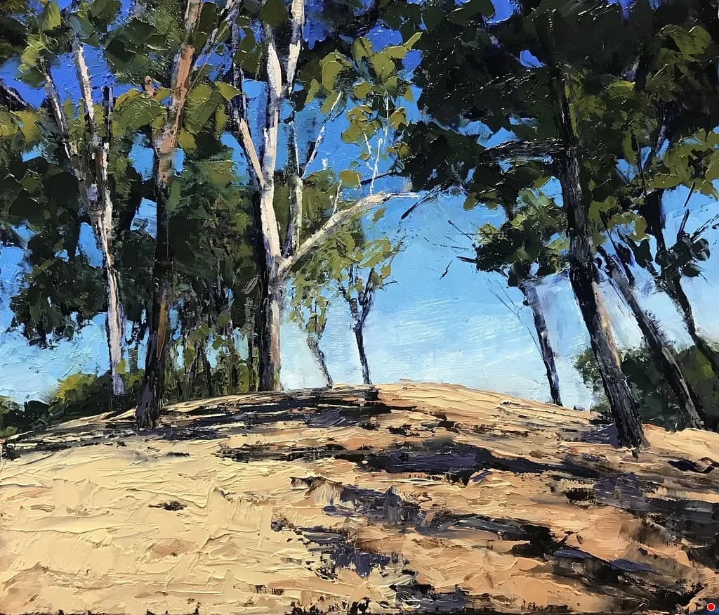 Sandy Grove Shadows