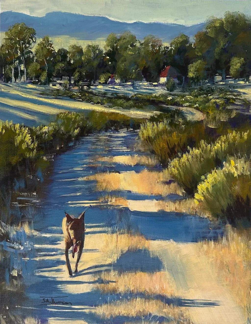 Evening Trail Runner