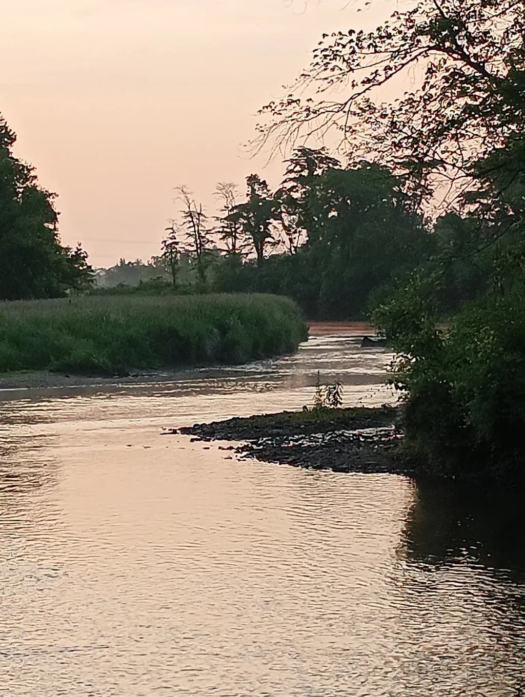 Dusky Riverbend