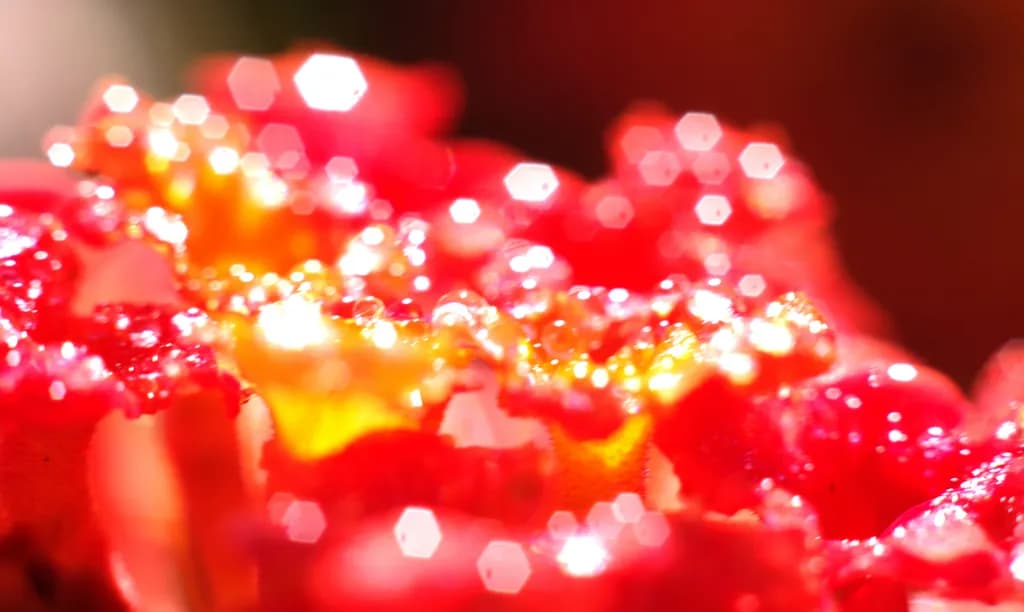 Crimson Gleam