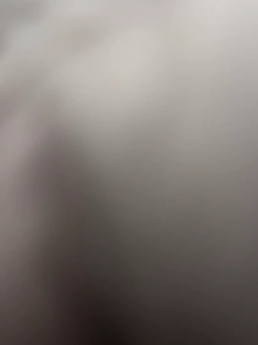Mist Veil