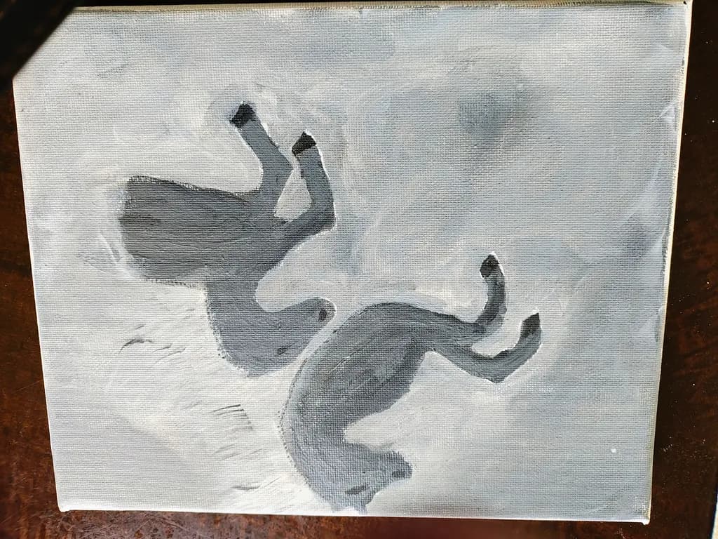 Falling Shadows