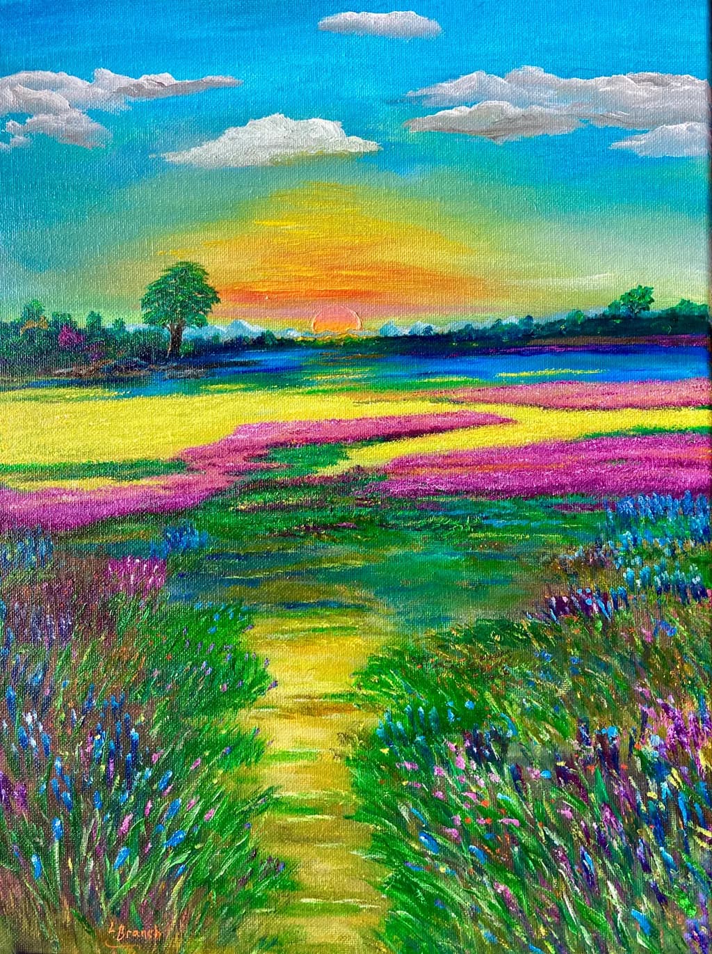 Sunset Meadow Trail