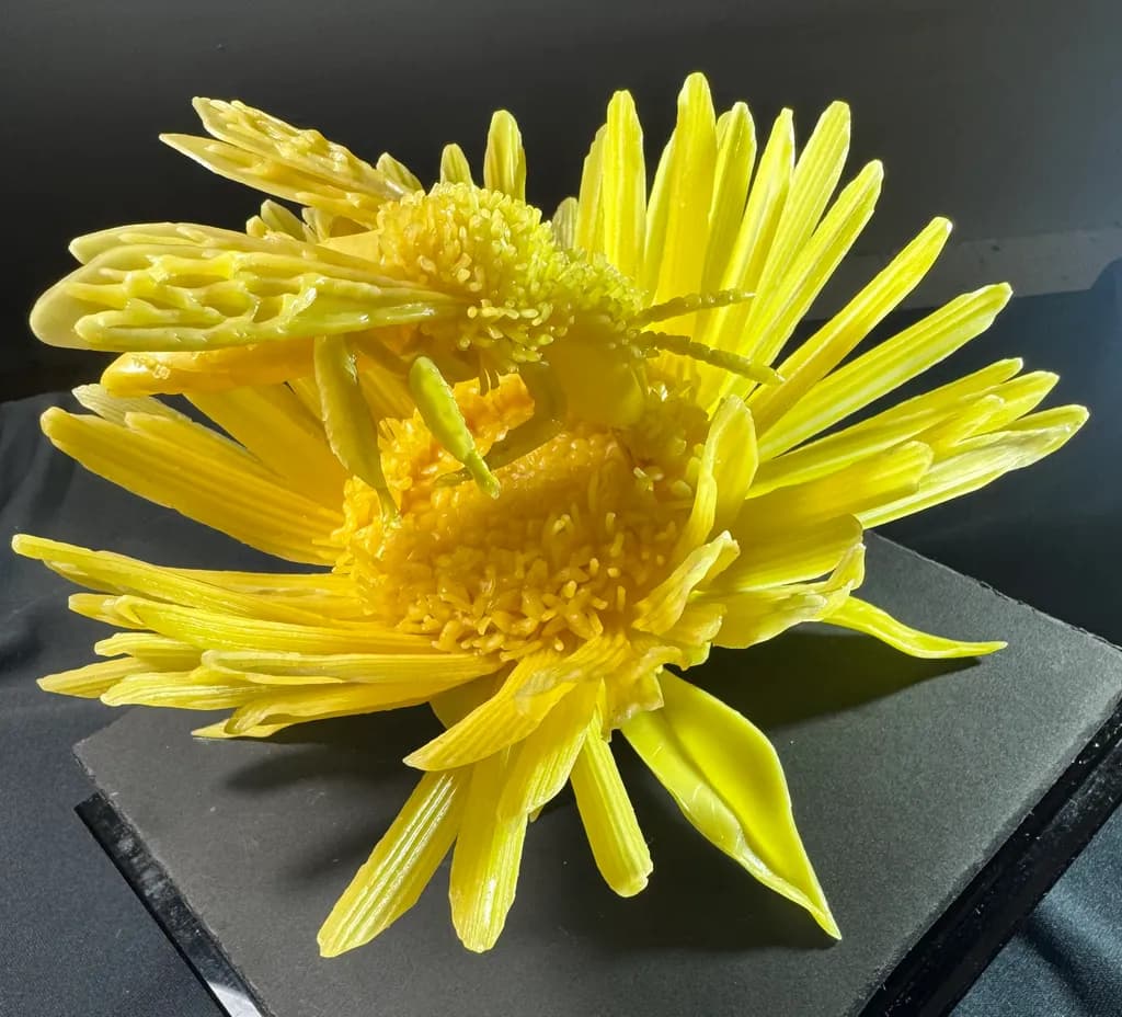 Honeyburst Bloom